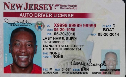 New jersey drivers license search